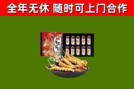 金林烟酒回收冬虫夏草礼盒.jpg
